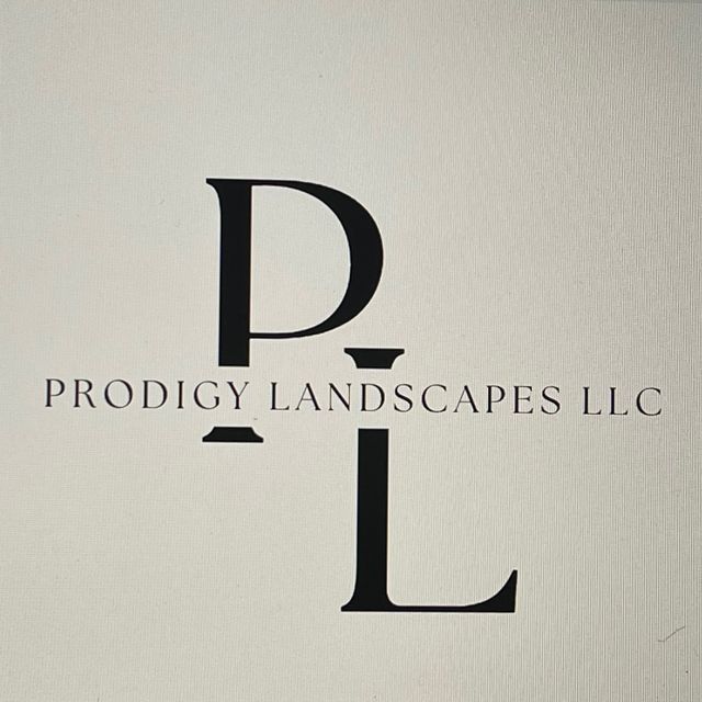 Prodigy landscapes