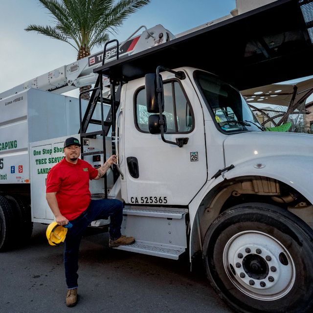 Prodigy Works Tree services
