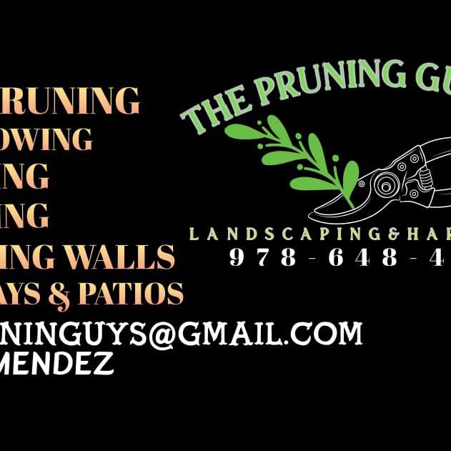 THE PRUNING GUYS INC.