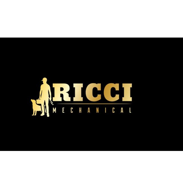 Ricci mechanical (plumbing experts)