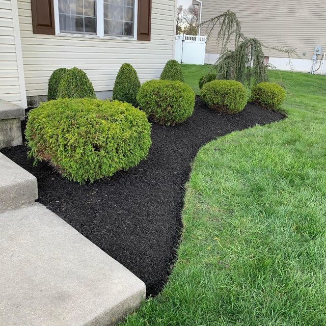 Riveras Landscaping LLC