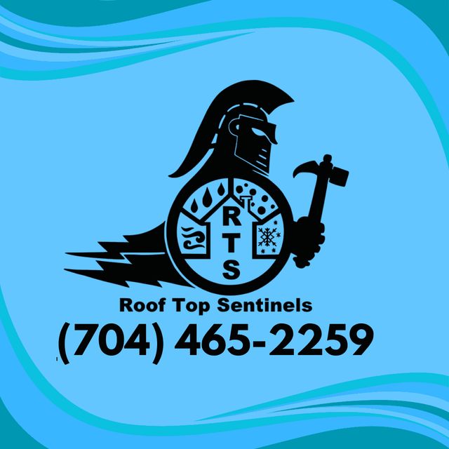 Roof Top Sentinels