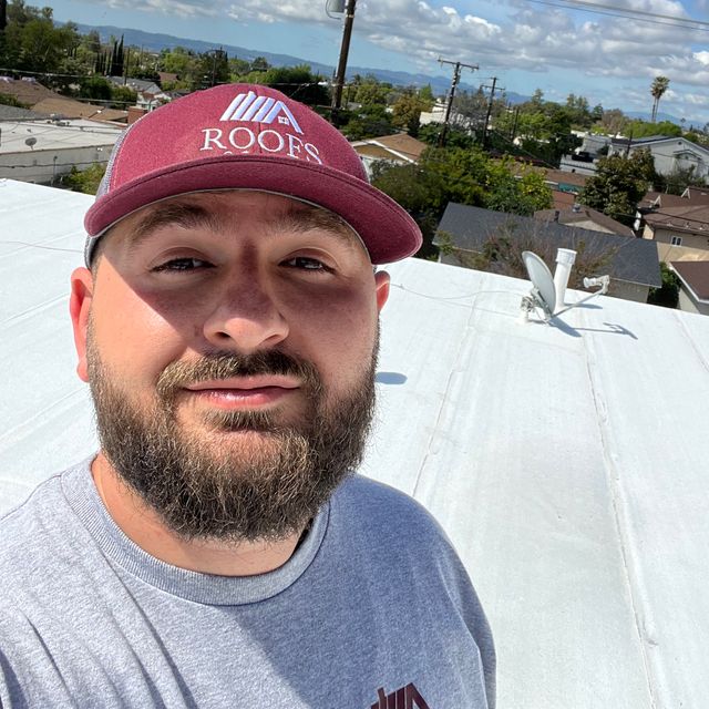 Roofs of Art