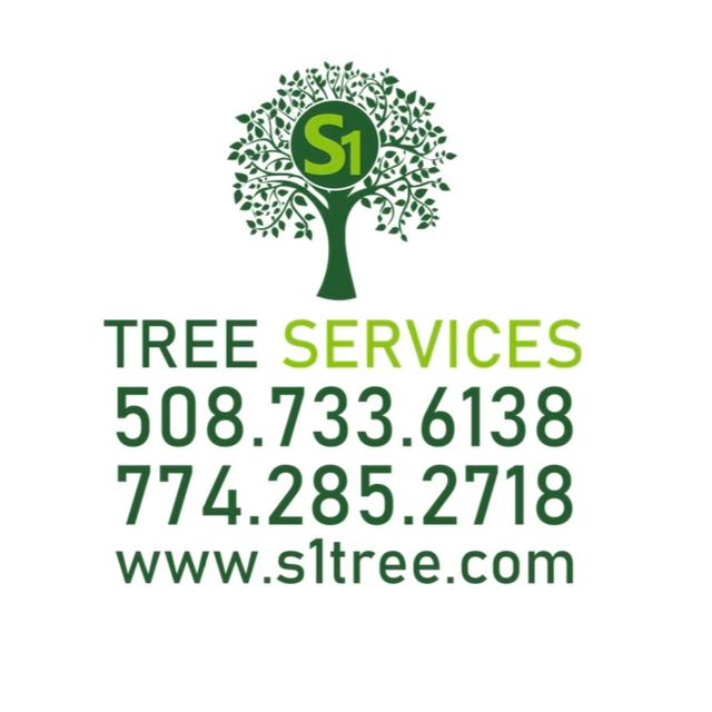 S1 Tree Services