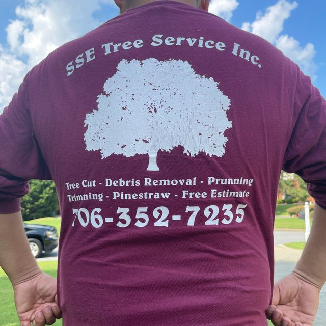 sse tree and  Fall spring cleanup