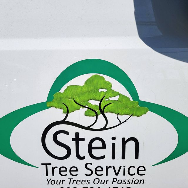 Stein Tree Service