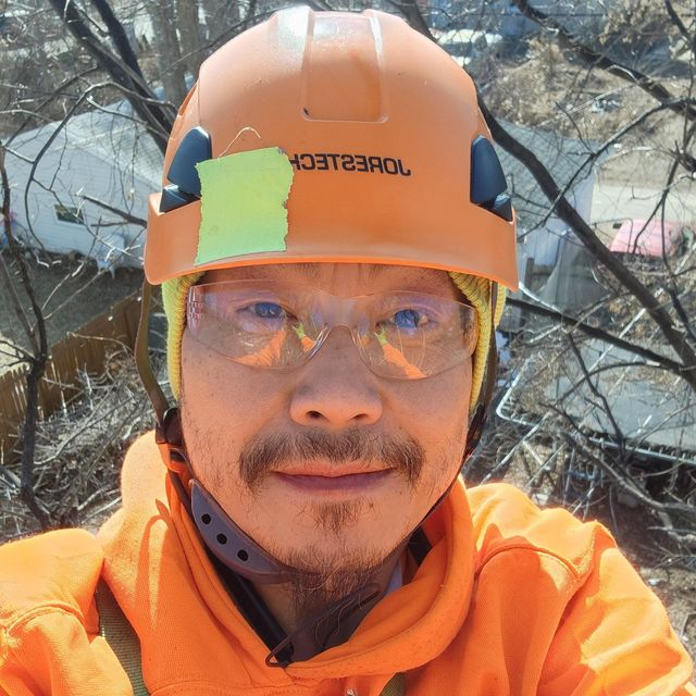 TimberBuilds Tree Service