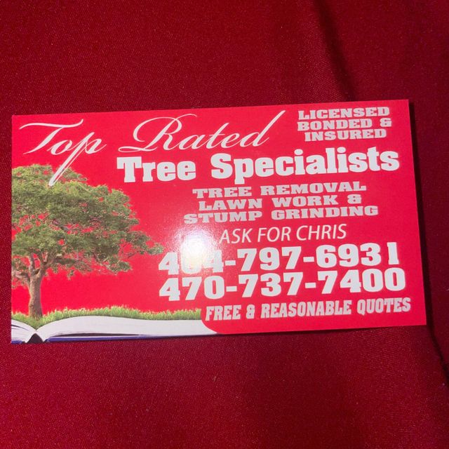 Top Rated Tree Specialist