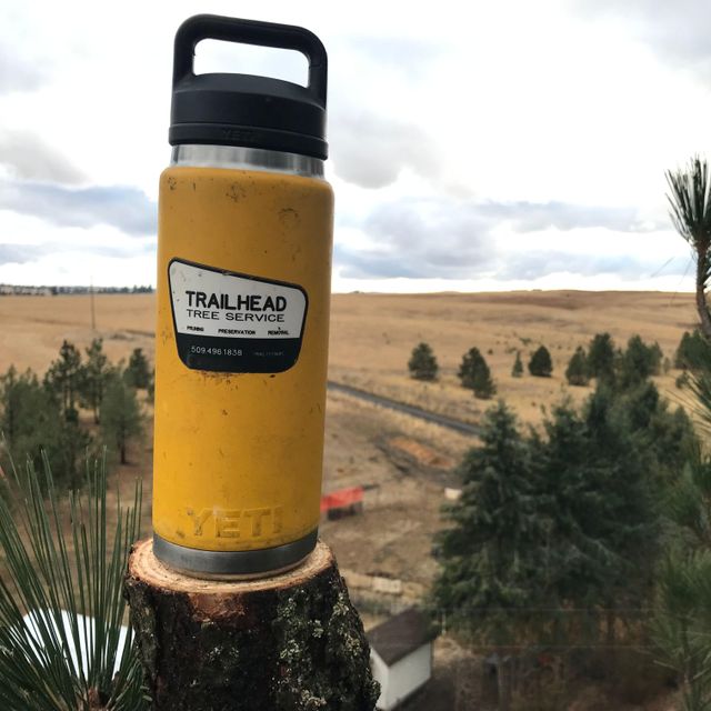 Trailhead Tree Service