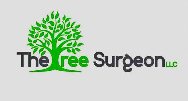 The Tree Surgeon