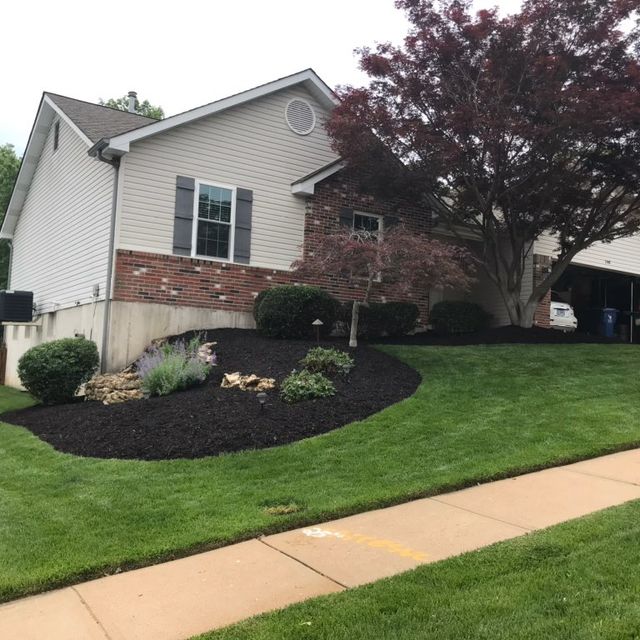 Trejo’s landscaping