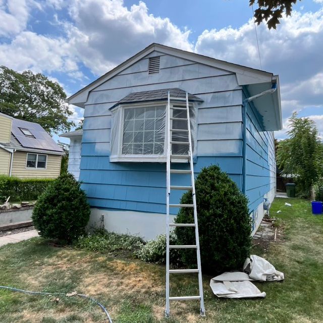 TrueHue Painters