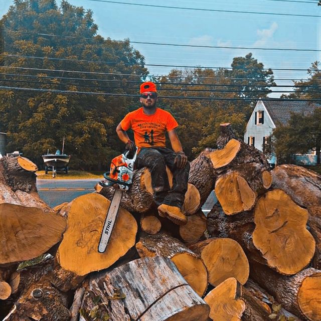 vecchiarelli tree service