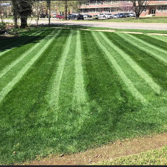 Vega lawn & landscaping and house cleaning