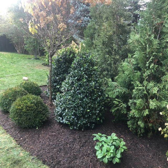 Velasquez Landscape Inc
