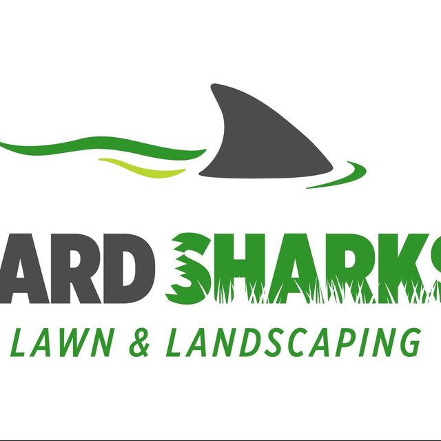 Yard Sharks